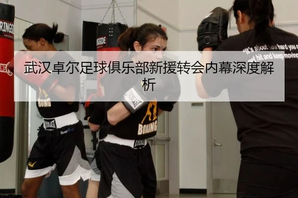 武汉卓尔足球俱乐部新援转会内幕深度解析